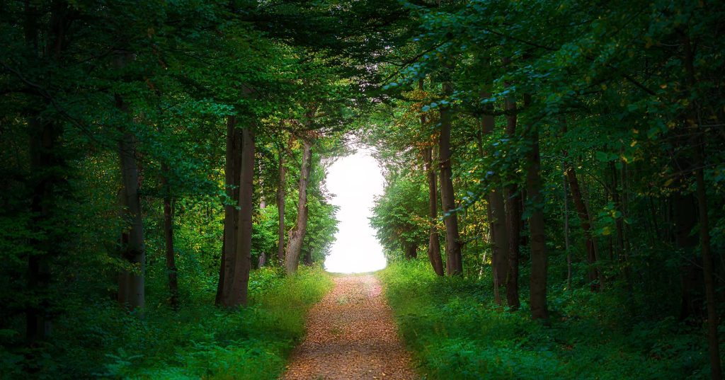 Vehreän metsäpolun päässä on avaimen muotoinen aukko ulos taivaanrantaan.